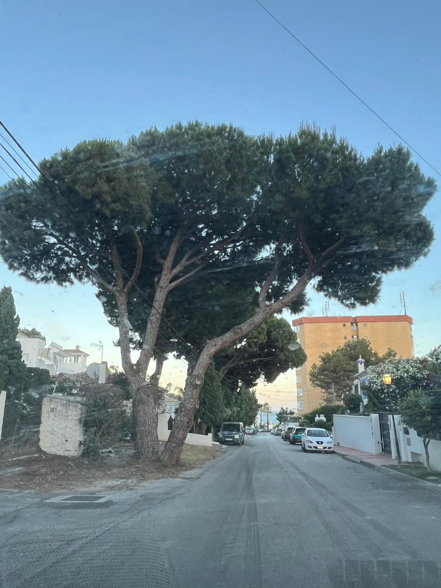 La Casa Catharina Lägenhet Málaga Exteriör bild